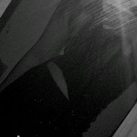 alexia._964