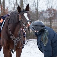 janabauerova_showjumping