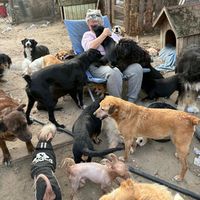 lunasaltersranch.ch