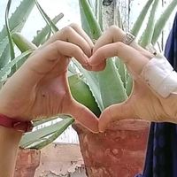 faiza.khan.official03