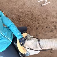 .pro.equestrian