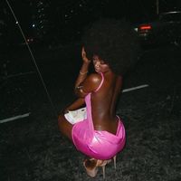 adesholadmodel