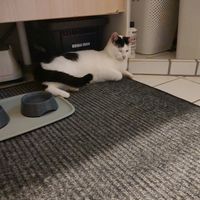 ronja123lille_rotte1210