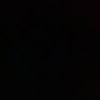 no_name233446
