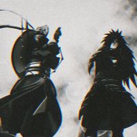 animele_s940