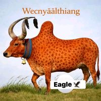 leeknyalthiangwechlk3