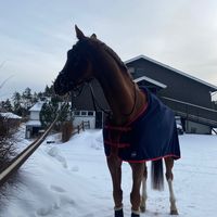 madelen445