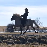 original sound - siilfrii