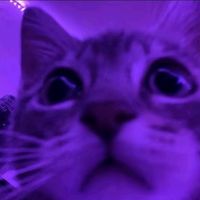 __midb__