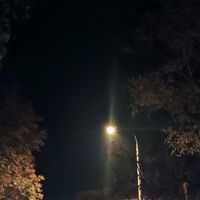sanini_woo