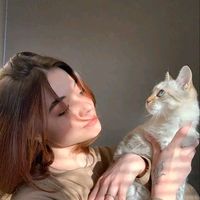 aiemma7