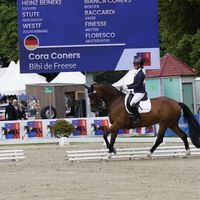cfb_dressage