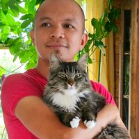 kattenmilo22