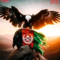 haqmal145