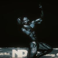 purify_official