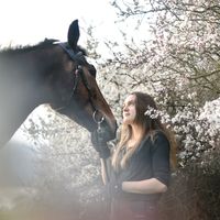 klara_rts