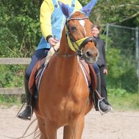 frenne0323