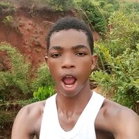 dedollarlimited0