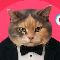 gatito.psicologo1