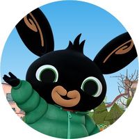 bingbunnyofficial