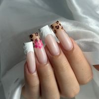 nails.edition_