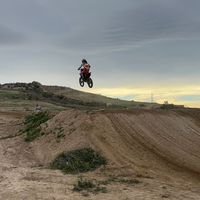 reily987
