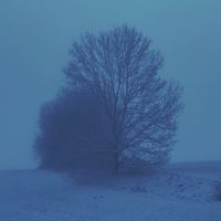 ft_bhv