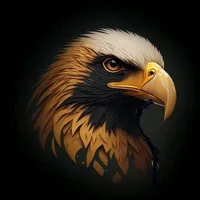 original sound - iloveeagle945