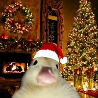 daily_shon_uploads