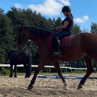 lotti_rstk