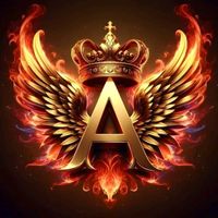 alfonsolangella20