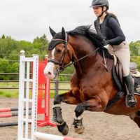 equestrian.theaa