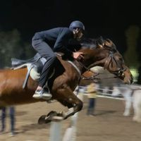 mahamad_m196