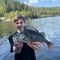 gr_fisho
