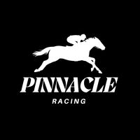 pinnacleracinguk