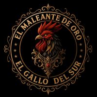 Guerreros De Calle