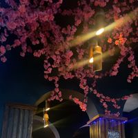 amina_02_5