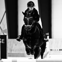 academy_horse8