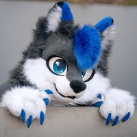 nyrox_furry