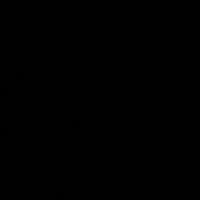 sokolek11