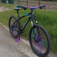 bikelife.samuu