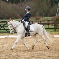 lauraequestrian11