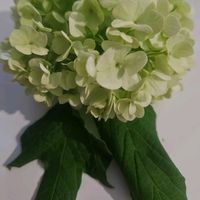 k.ryma81