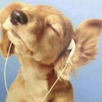 fr_music_lover