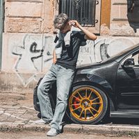 boni_2008_
