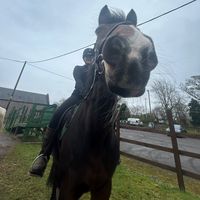 equestrian_life89