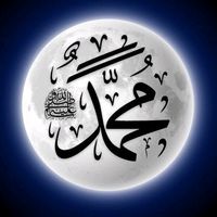 jawedibrahimi28
