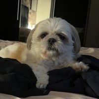 luu_210701