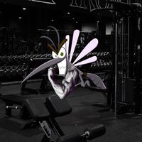 buffmosquito