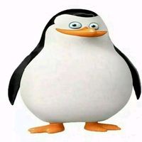 poxitcs4